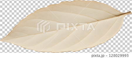 autumn leaf on white background autumn leaf on white background 128029993
