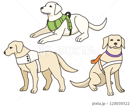 盲導犬のイラスト 128030522
