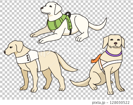 盲導犬のイラスト 128030522