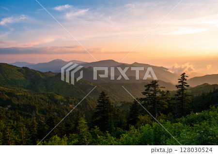 志賀草津道路・夕景 128030524
