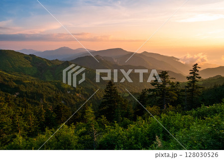志賀草津道路・夕景 志賀草津道路・夕景 128030526