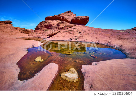 Red Rock Canyon Oasis Under Clear Sky Eye Level Perspective Red Rock Canyon Oasis Under Clear Sky Eye Level Perspective 128030604