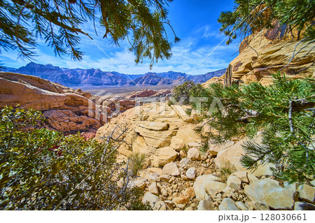 Red Rock Canyon Sandstone Formations with Greenery at Eye Level 128030661