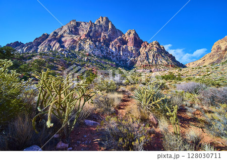 Red Rock Desert and Cacti with Mountain Range Eye Level View Red Rock Desert and Cacti with Mountain Range Eye Level View 128030711
