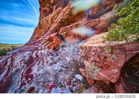 Vibrant Red Rock Striations Desert Scene Eye Level Perspective Vibrant Red Rock Striations Desert Scene Eye Level Perspective 128030828