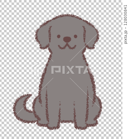 Black Labrador Retriever sitting facing forward 128030841