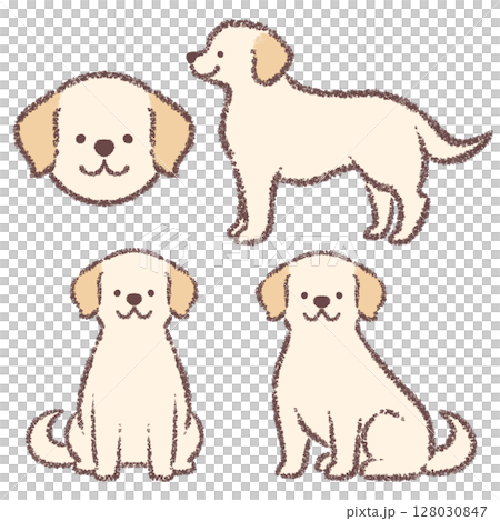 拉布拉多獵犬變異套裝 128030847