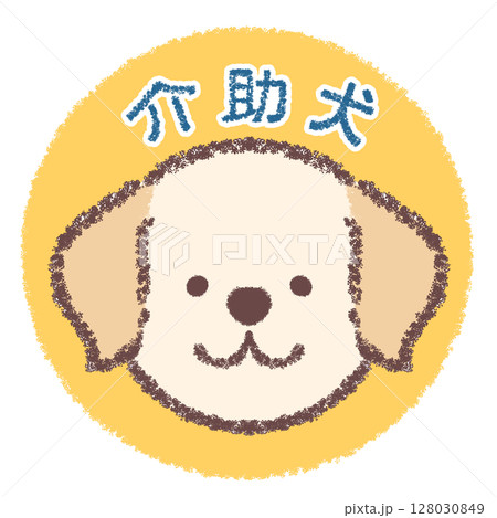 介助犬のラブラドールレトリバーのアイコン 128030849