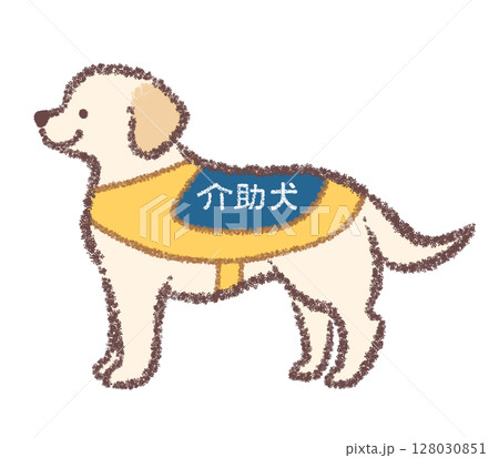 横向きの介助犬のラブラドールレトリバー 128030851