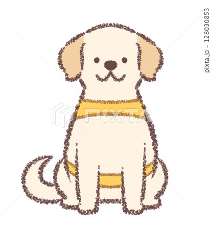 正面を向いて座る介助犬のラブラドールレトリバー 正面を向いて座る介助犬のラブラドールレトリバー 128030853