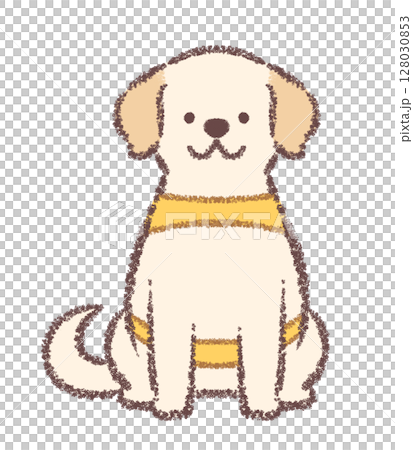 正面を向いて座る介助犬のラブラドールレトリバー 正面を向いて座る介助犬のラブラドールレトリバー 128030853