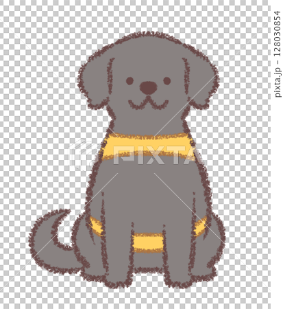 A black Labrador retriever service dog sitting facing forward A black Labrador retriever service dog sitting facing forward 128030854