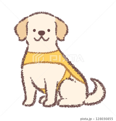 正面で横を向いて座る介助犬のラブラドールレトリバー 128030855