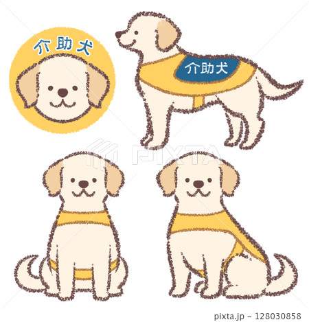 介助犬のラブラドールレトリバーバリエーションセット 128030858