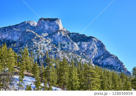 Majestic Mt Charleston Snow-Capped Peak and Pine Forest from Low Angle Majestic Mt Charleston Snow-Capped Peak and Pine Forest from Low Angle 128030859