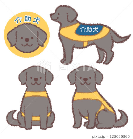 介助犬の黒ラブラドールレトリバーバリエーションセット 介助犬の黒ラブラドールレトリバーバリエーションセット 128030860