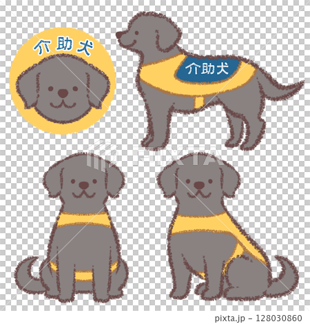 介助犬の黒ラブラドールレトリバーバリエーションセット 介助犬の黒ラブラドールレトリバーバリエーションセット 128030860