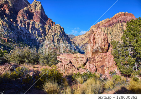 Red Rock Canyon Sandstone Cliffs with Desert Vegetation Eye-Level View 128030862