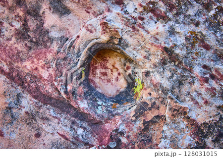 Textured Rock with Lichen Detail on Grand Staircase Trail Close-Up 128031015