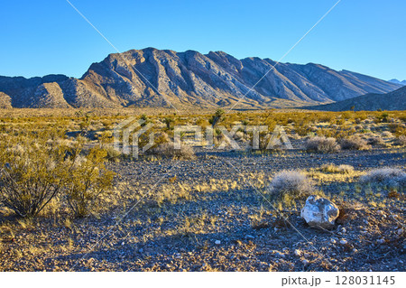 Desert Mountain Majesty Nevada Eye-Level View 128031145