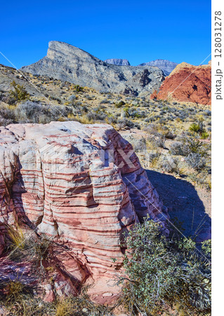 Red Rock Striations in Desert Landscape Nevada Eye-Level Perspective Red Rock Striations in Desert Landscape Nevada Eye-Level Perspective 128031278