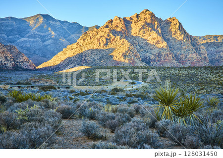 Red Rock Canyon Nevada Golden Hour Desert Vista Eye Level View 128031450