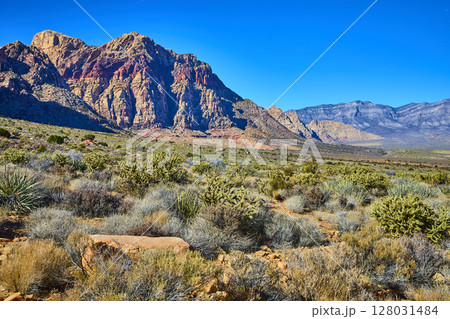 Red Rock Canyon Sandstone Cliffs and Desert Vegetation Eye-Level View 128031484