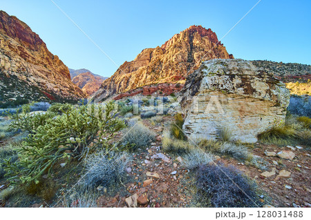 Red Rock Canyon Desert Landscape with Mountains and Vegetation at Eye Level Red Rock Canyon Desert Landscape with Mountains and Vegetation at Eye Level 128031488