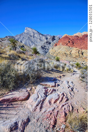 Desert Trail to Red Rock Canyon with Mountain Backdrop Eye-Level View 128031501