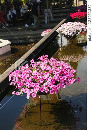 公園に咲いている花 128031880