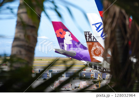 ハワイ　ホノルル空港　ハワイアン航空 128032964