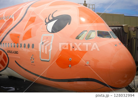 ハワイ　フライングホヌ 128032994