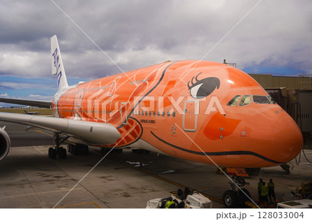 ハワイ　フライングホヌ 128033004