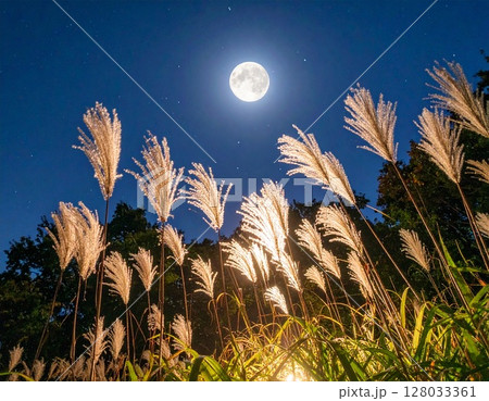 七夕の夜、ススキ越しに見上げる満月と星空 128033361