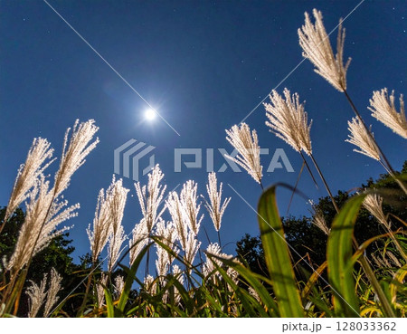 七夕の夜、ススキ越しに見上げる満月と星空 七夕の夜、ススキ越しに見上げる満月と星空 128033362