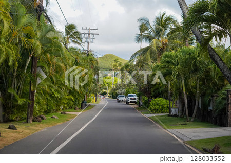 ハワイ　ラニカイの道 128033552