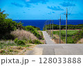 日本最南端・沖縄 波照間島 海まで続く道とサトウキビ畑 128033888