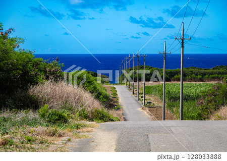 日本最南端・沖縄 波照間島 海まで続く道とサトウキビ畑 日本最南端・沖縄 波照間島 海まで続く道とサトウキビ畑 128033888