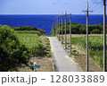 日本最南端・沖縄 波照間島 海まで続く道とサトウキビ畑 128033889