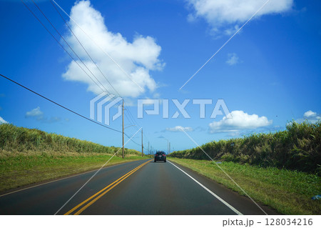 ハワイ　車窓から見る景色 128034216