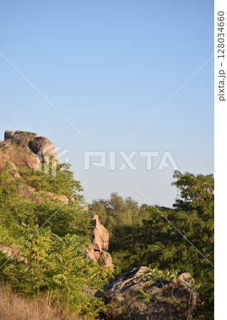 landscape with trees and sky landscape with trees and sky 128034660