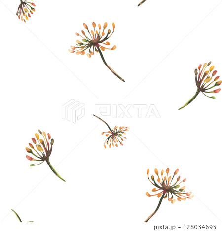Dill or fennel seamless pattern. Watercolor hand drawn illustration. Branches of dried flowers, sprigs with seeds, inflorescence, umbrella. Clipart for floral fabric print isolated from background Dill or fennel seamless pattern. Watercolor hand drawn illustration. Branches of dried flowers, sprigs with seeds, inflorescence, umbrella. Clipart for floral fabric print isolated from background 128034695