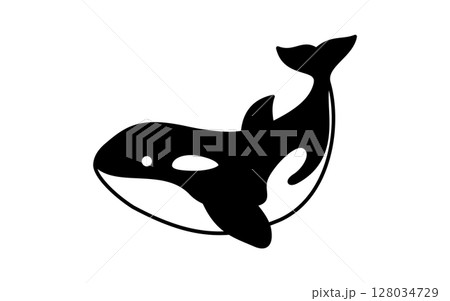 シャチのシンプルな線画イラスト、夏のアイソメトリックイラスト 128034729