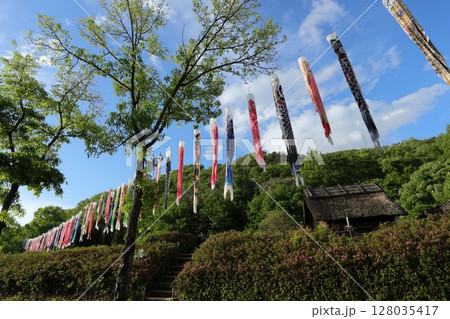 科野の村歴史公園に揚げられた、鯉のぼり 128035417