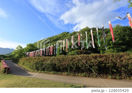 科野の村歴史公園に揚げられた、鯉のぼり 科野の村歴史公園に揚げられた、鯉のぼり 128035420