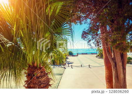 Embankment with palm trees in summer. Nerja, Malaga, Spain 128036260