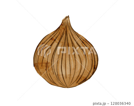 水彩で描いた夏野菜の玉ねぎ輪切シンプルな挿絵イラスト素材 水彩で描いた夏野菜の玉ねぎ輪切シンプルな挿絵イラスト素材 128036340