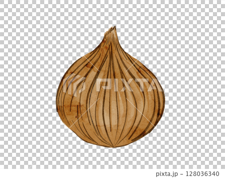 夏季蔬菜洋蔥切片的簡單插圖，用水彩畫 128036340