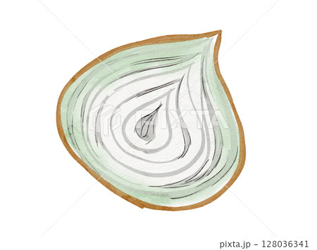 水彩で描いた夏野菜の玉ねぎシンプルな挿絵イラスト素材 128036341