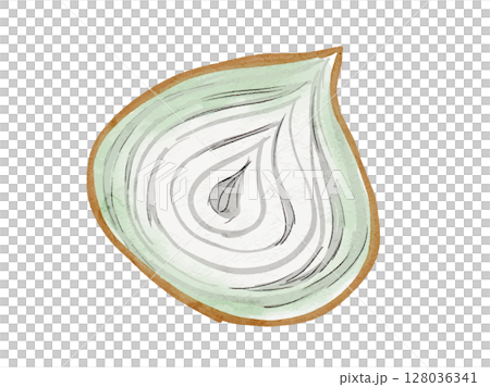 水彩で描いた夏野菜の玉ねぎシンプルな挿絵イラスト素材 128036341